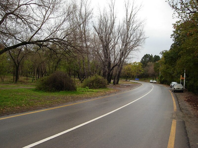 Curved Road in Park — Gray