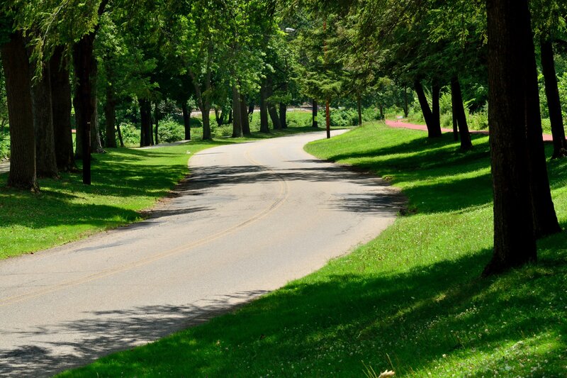 Curved Road in Park — Green, Serene, Afternoon, Photograph
