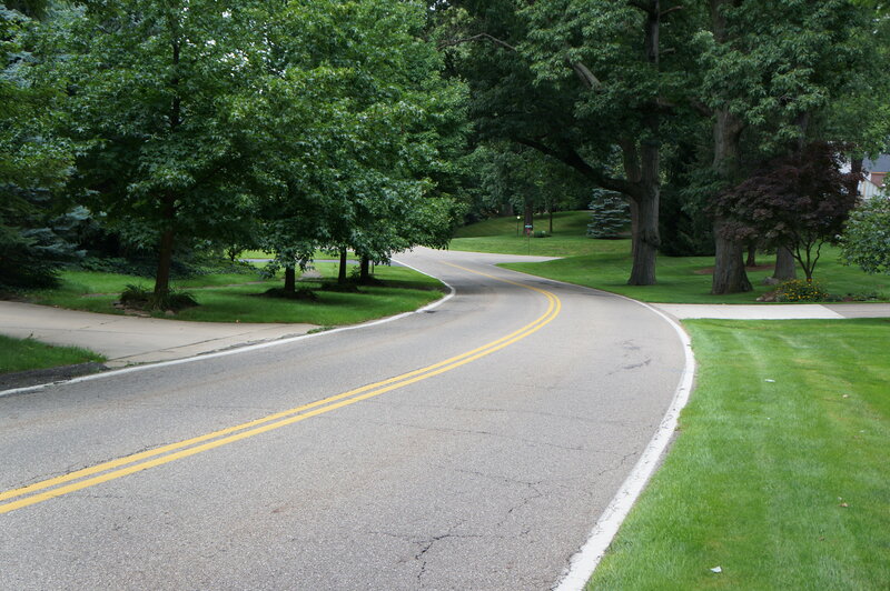 Curved Road in Park — Green, Serene