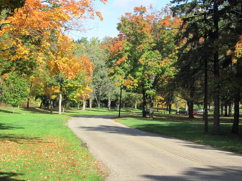 Curved Road in Park — Green