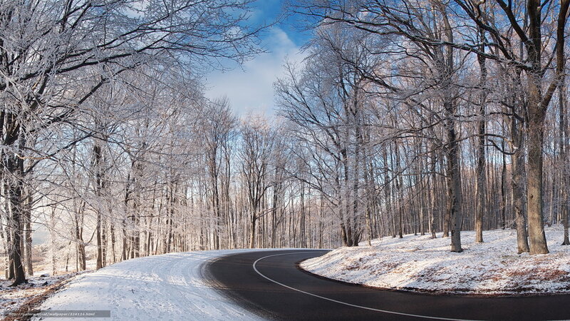 Curved Road in Winter Forest — White