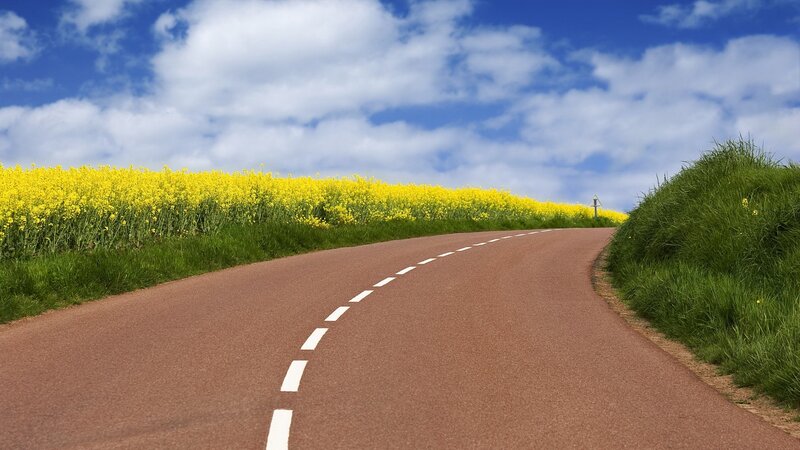 Curved Road Through Fields — Brown