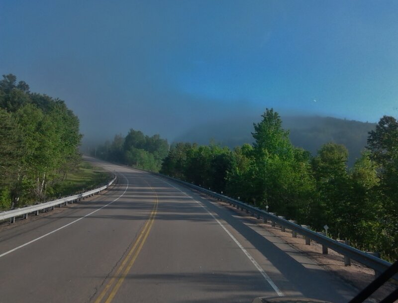 Curved Road Through Forest — Green, Serene