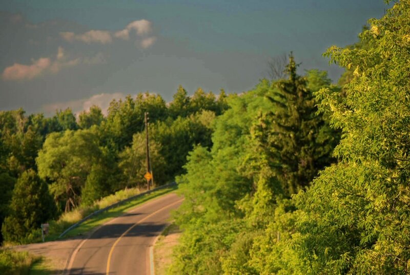 Curved Road Through Forest — Green