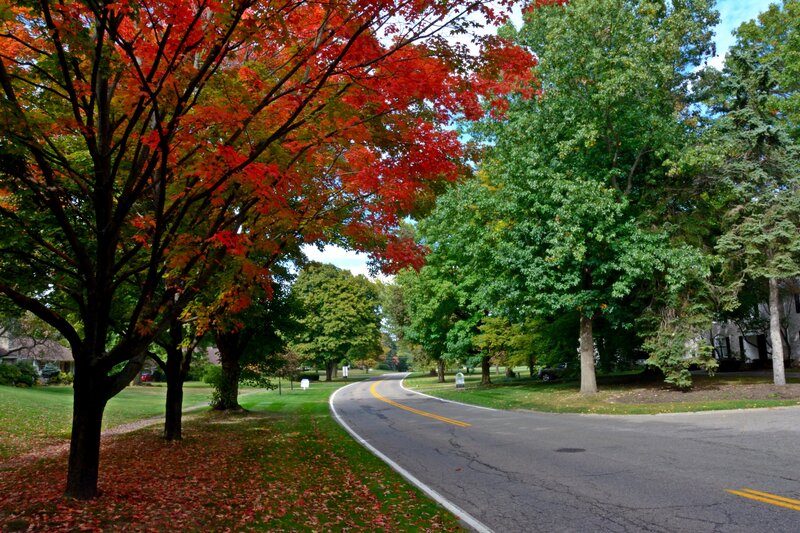 Curved Road with Autumn Trees — Red