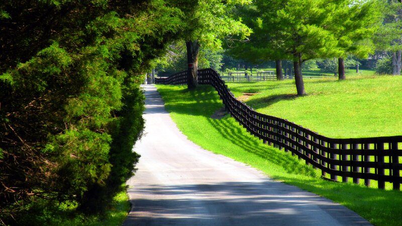 Curved Road with Fence — Green