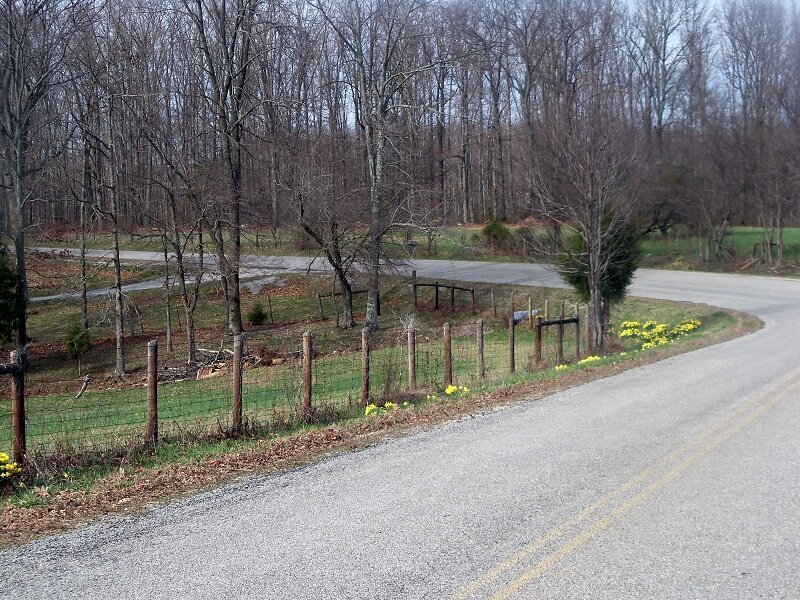 Curved Road with Fence