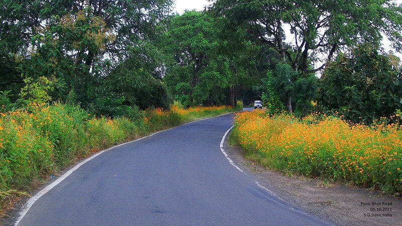 Curved Road with Flowers