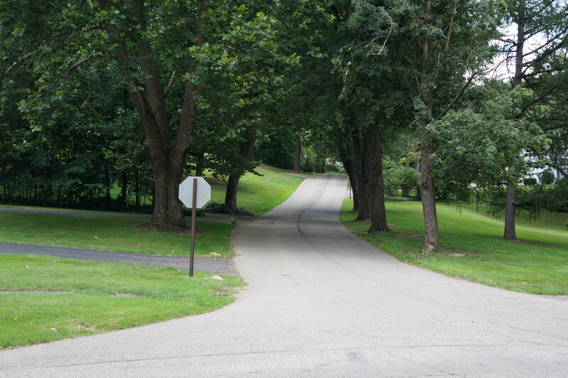 Curved Road with Trees — Green