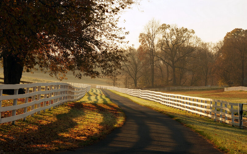 Curved Road with White Fence