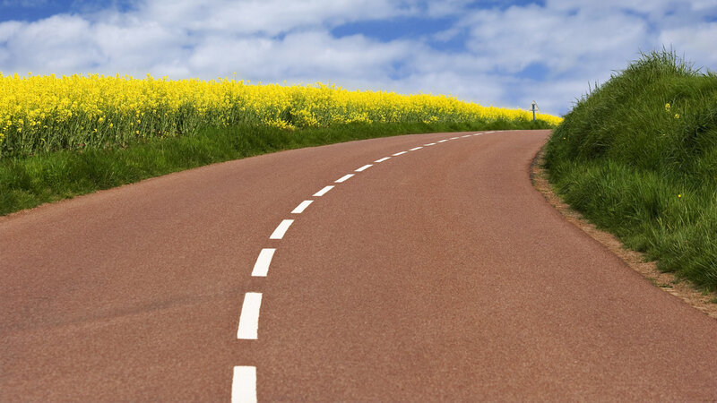 Curved Road with Yellow Flowers