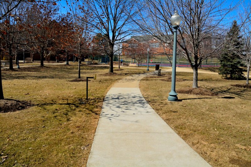 Curved Sidewalk in Park