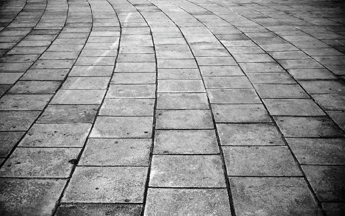 curved stone pavement pattern