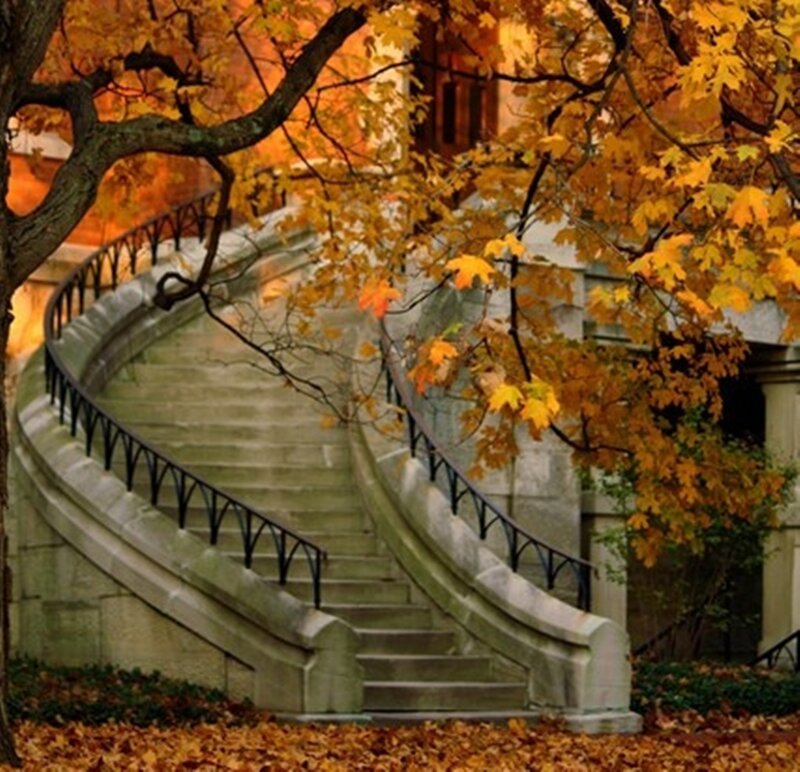 Curved Stone Staircase — Orange