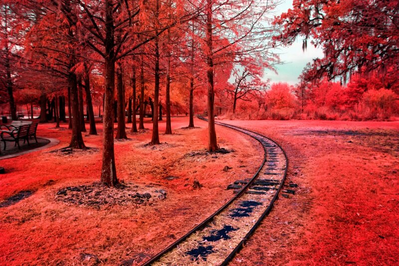 Curved Train Track in Park