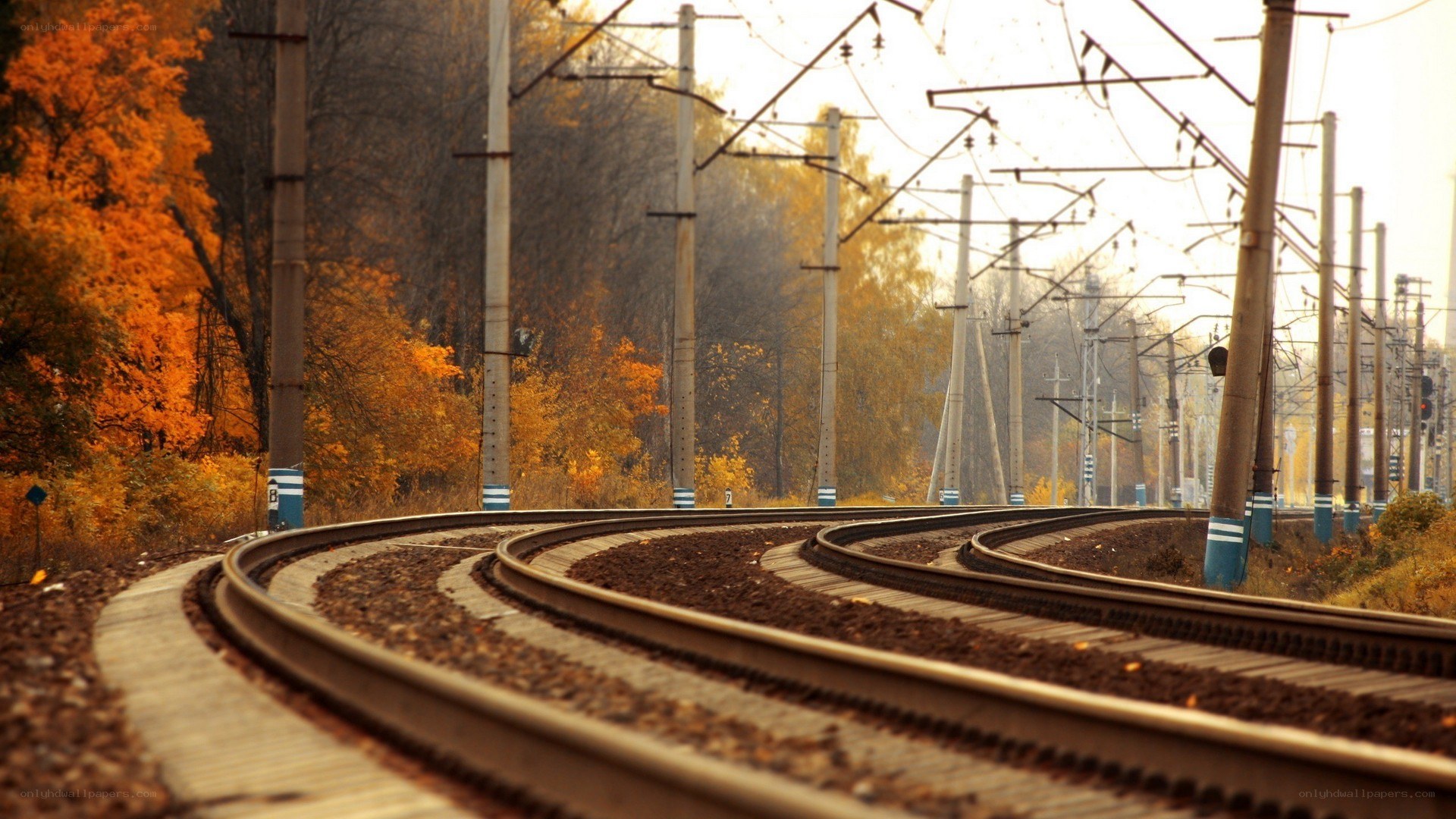 curved train tracks in autumn