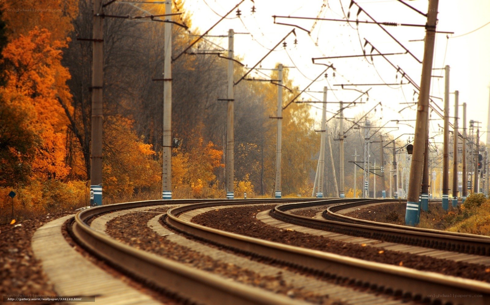 curved train tracks in autumn