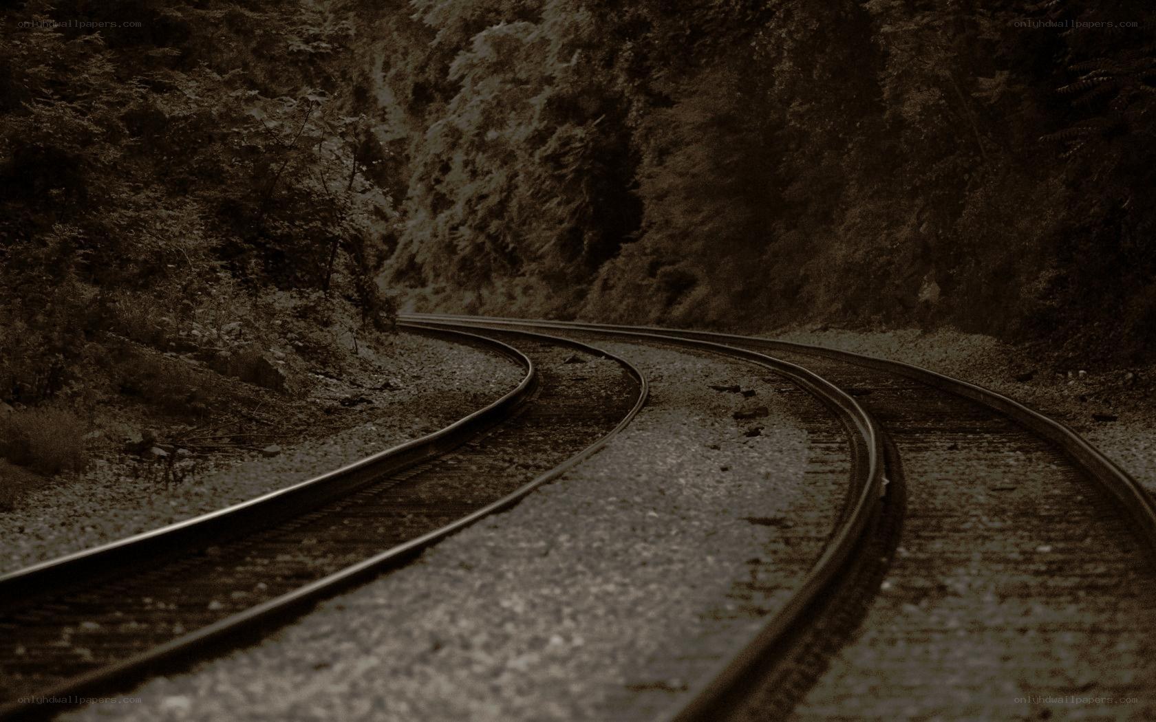 curved train tracks in forest