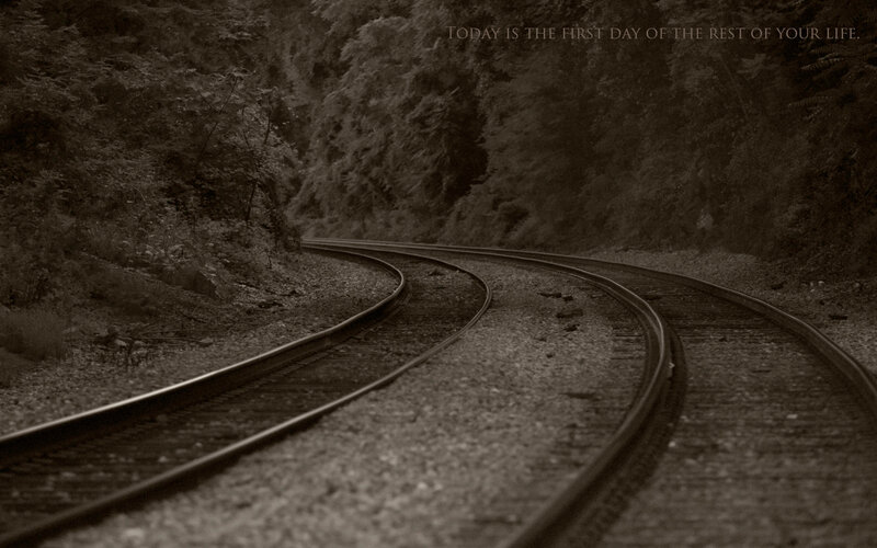 curved train tracks in forest