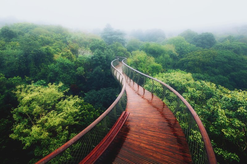 Curved Wooden Bridge