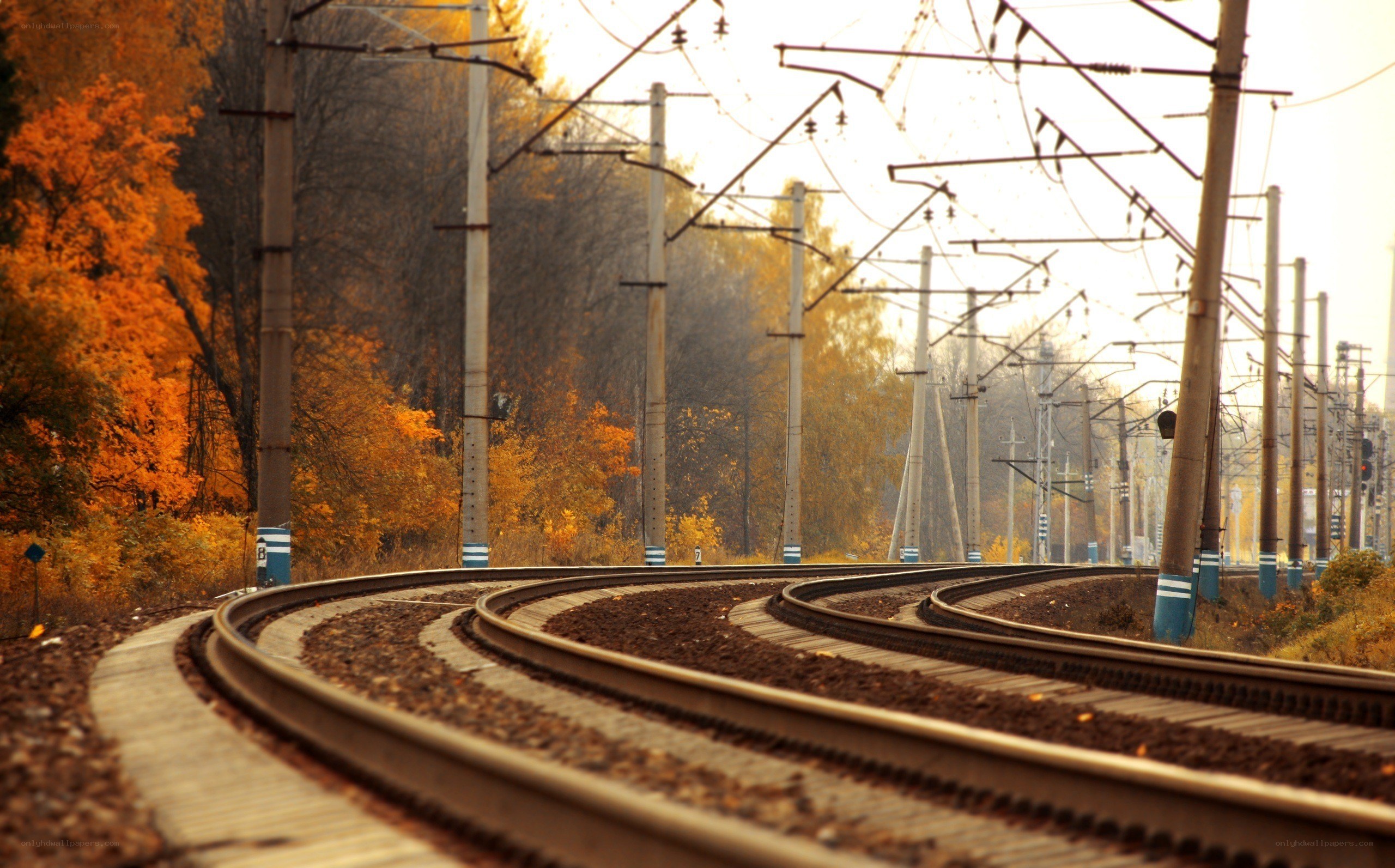curving train tracks in autumn