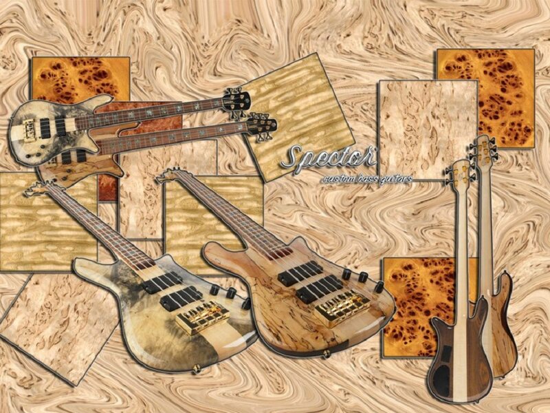 Custom Bass Guitars