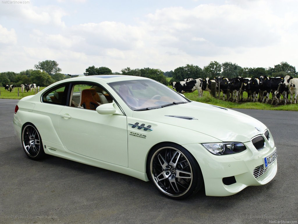 Custom BMW M3 in a field