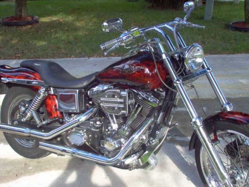 Custom Chopper Motorcycle — Black, Calm, Afternoon, Photograph, Grass, Tree