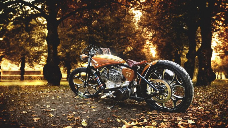 Custom Harley-davidson Motorcycle — Brown, Serene