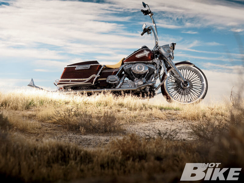 Custom Harley-davidson Motorcycle — Brown