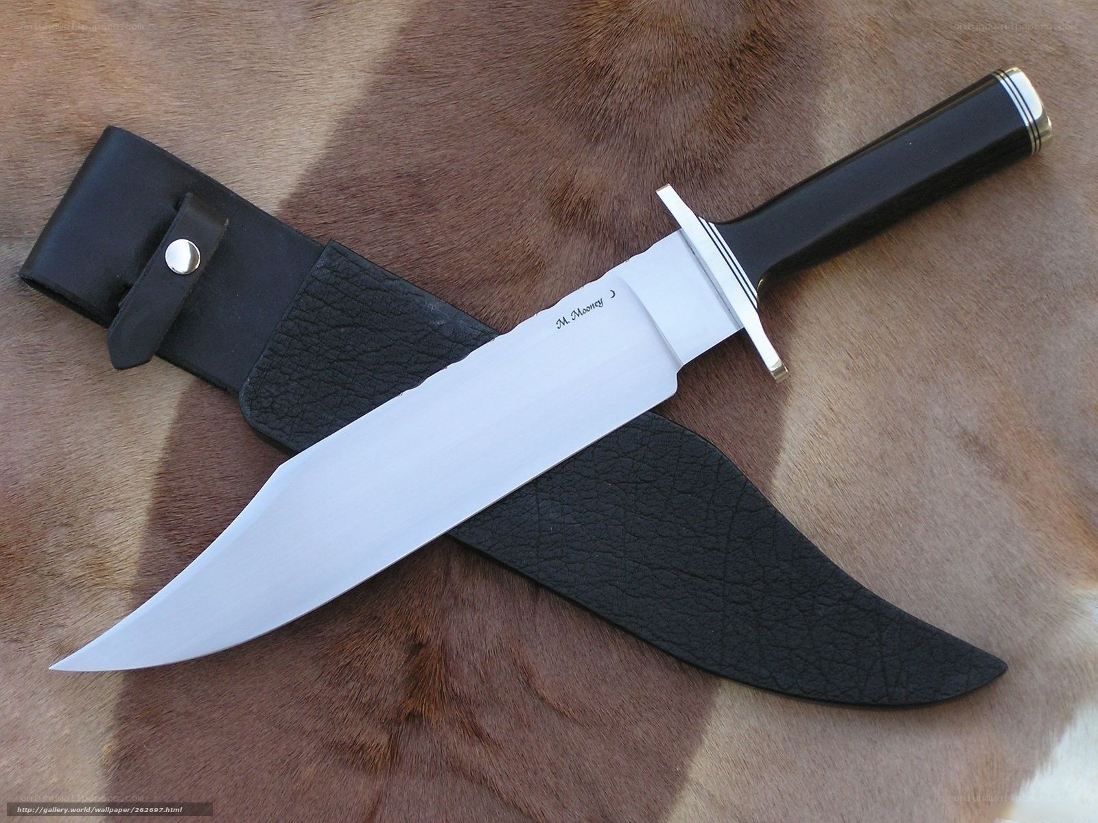 custom knife with leather sheath