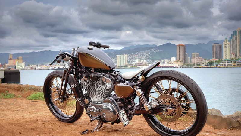 Custom Motorcycle on Shore — Brown