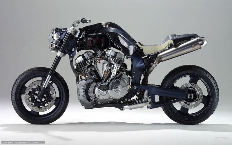 custom motorcycle side profile