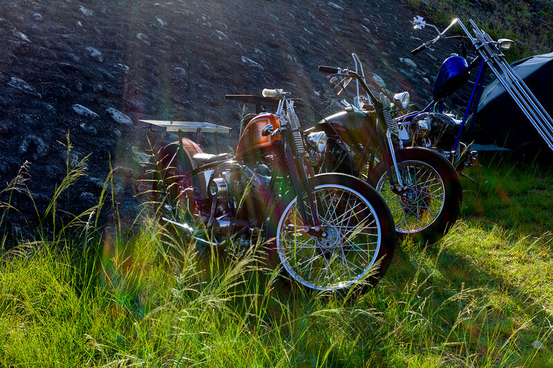 Custom Motorcycles in Grass