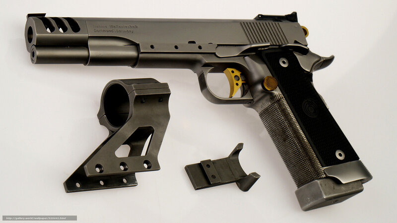 Custom Pistol with Accessories — Gray, Neutral