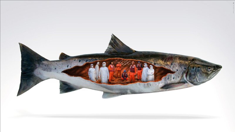 Cut-open Salmon with People