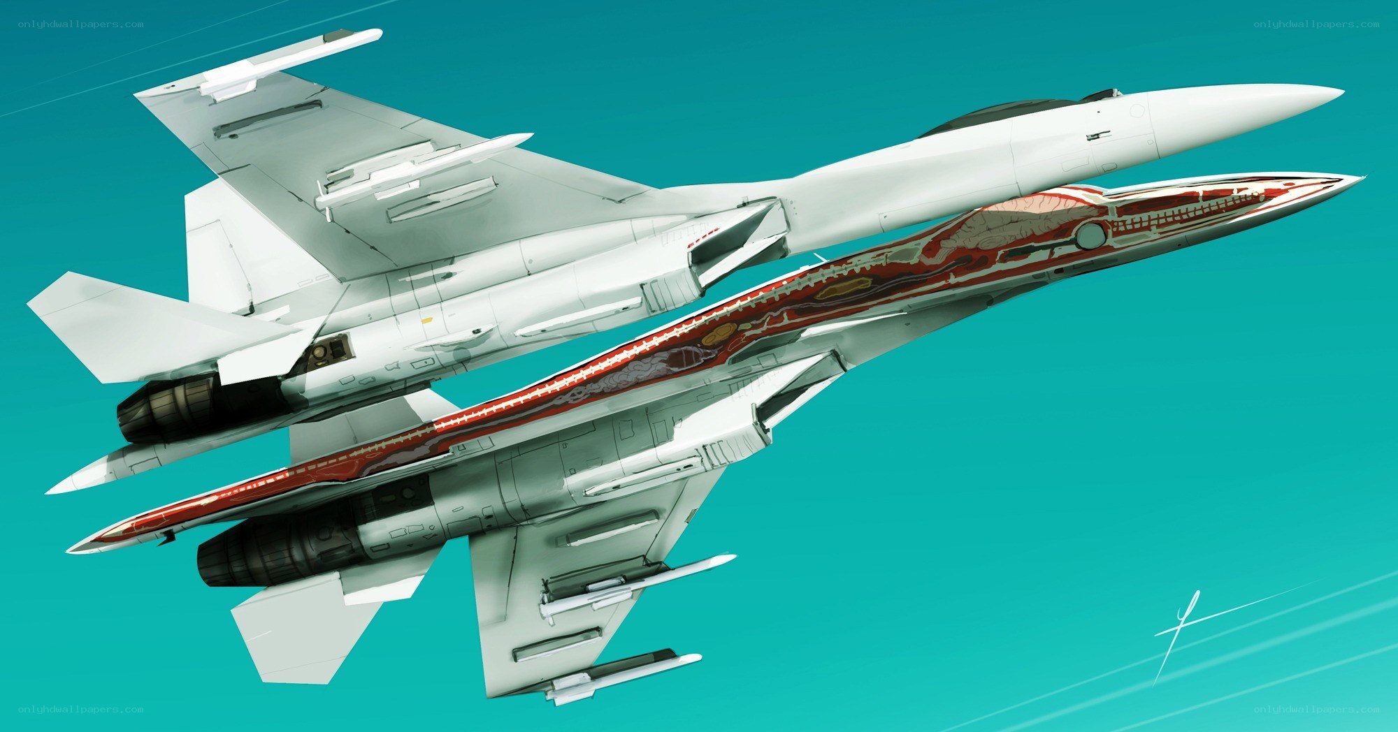 Cutaway fighter jet illustration