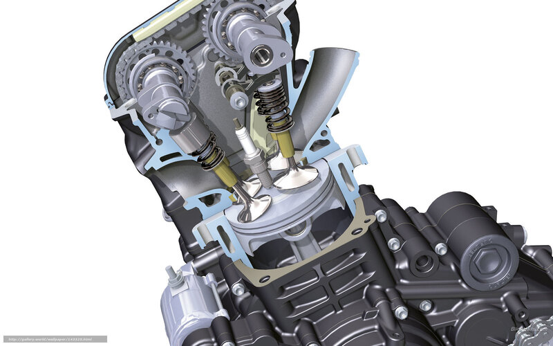 Cutaway of engine internals