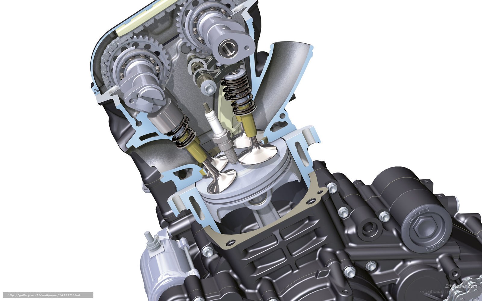 Cutaway of engine internals