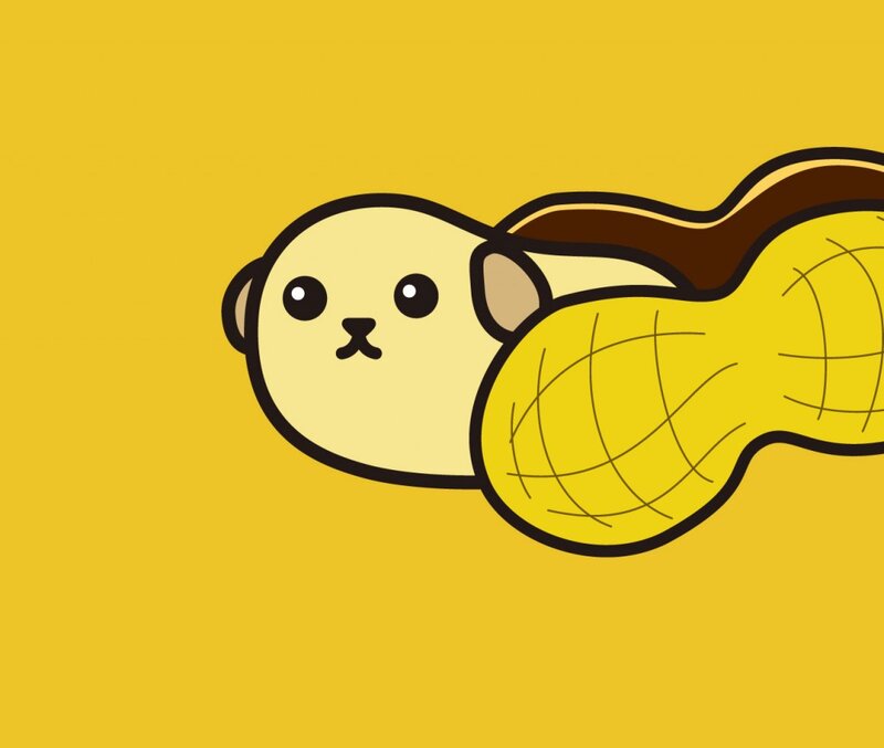 Cute Animal with Peanut