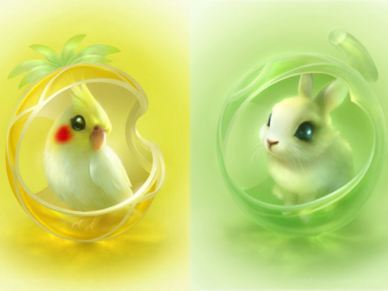 cute animals in glowing orbs