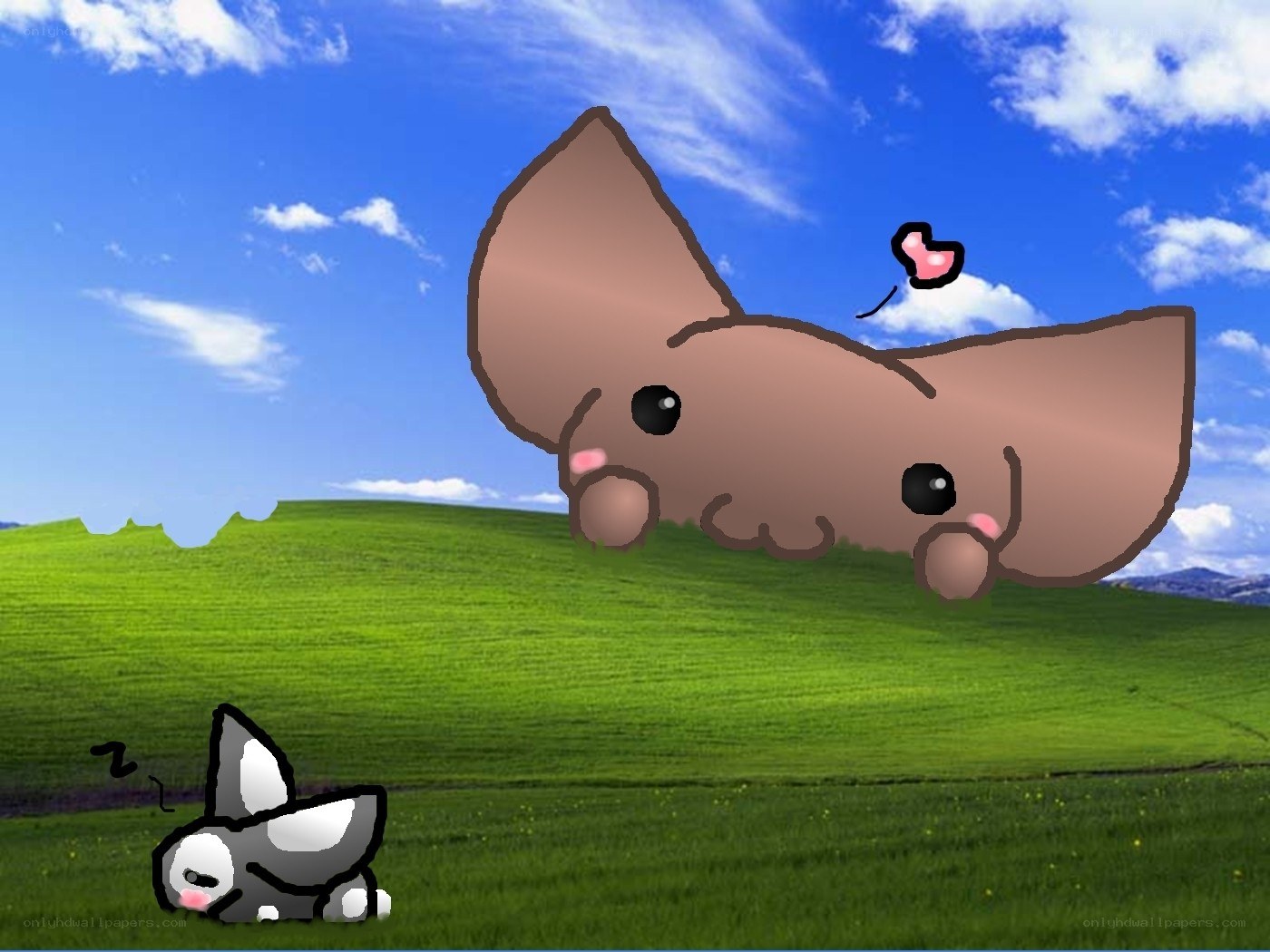 Cute animals on a hill