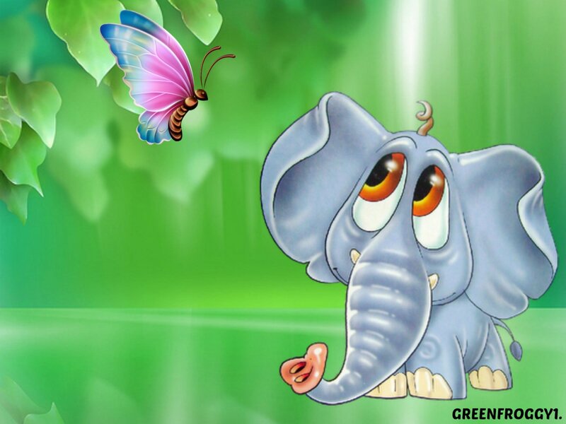 Cute Baby Elephant