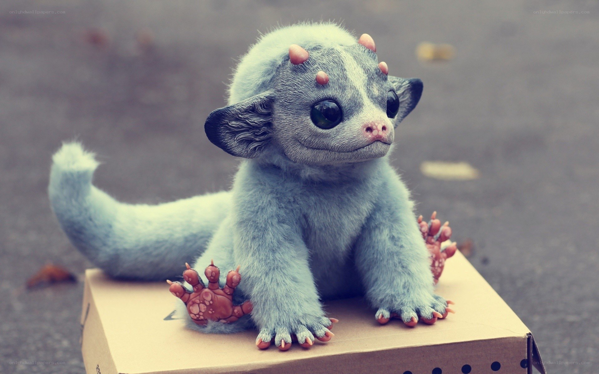 cute blue dragon baby