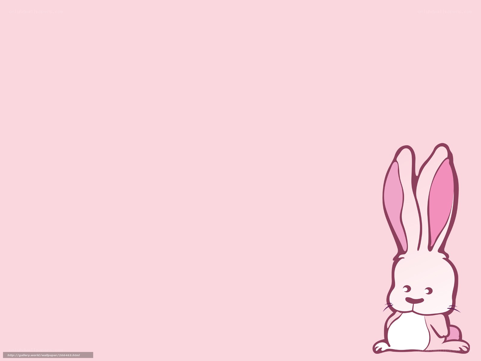 cute bunny on pink background