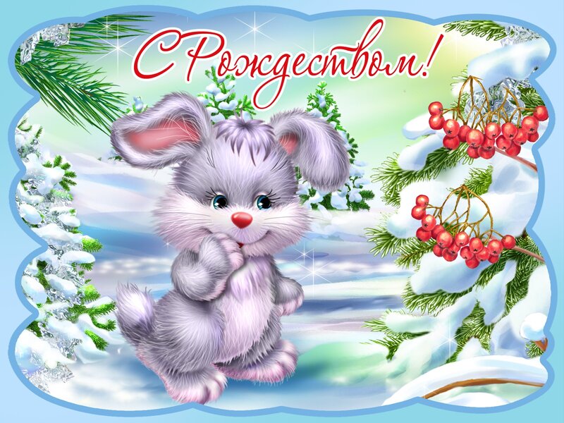 Cute bunny winter greeting
