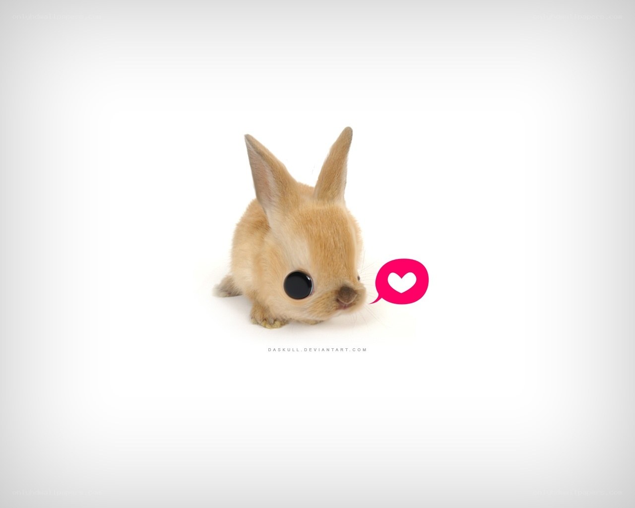 cute bunny with heart icon