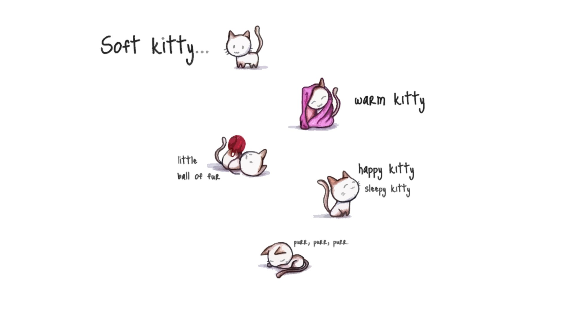cute cat illustrations