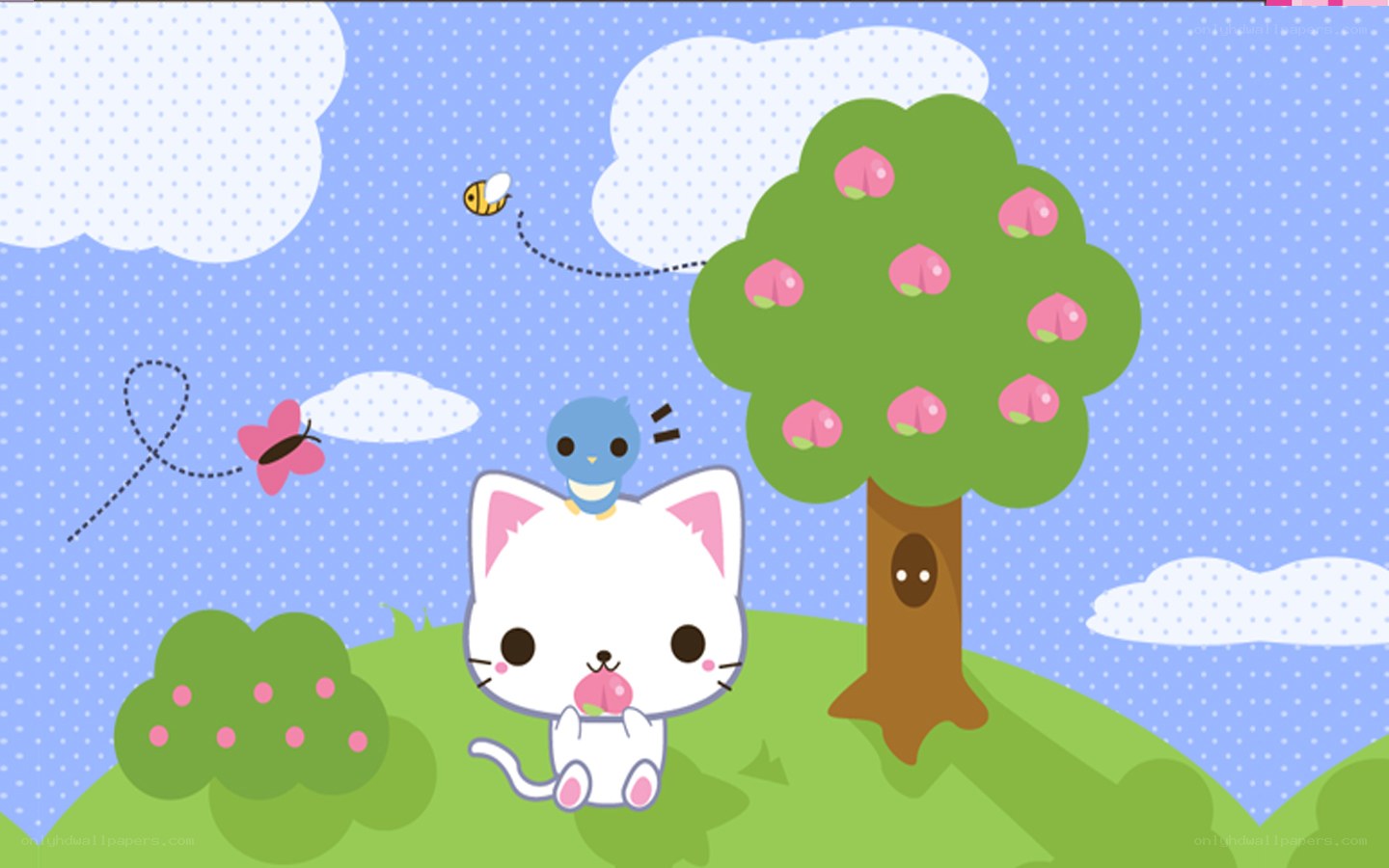 cute cat in garden