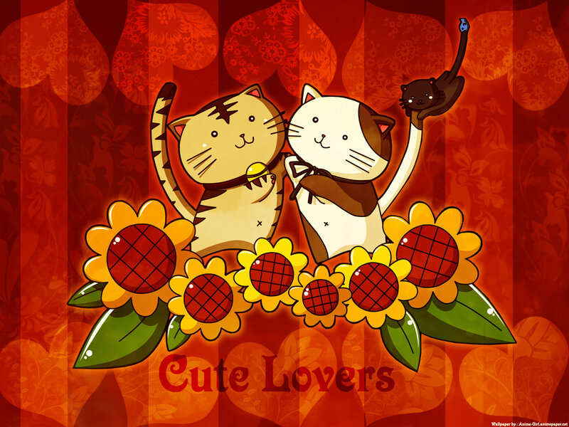 Cute cat lovers wallpaper